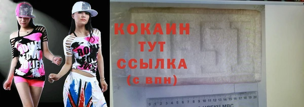 твердый Коряжма