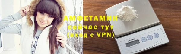 твердый Коряжма