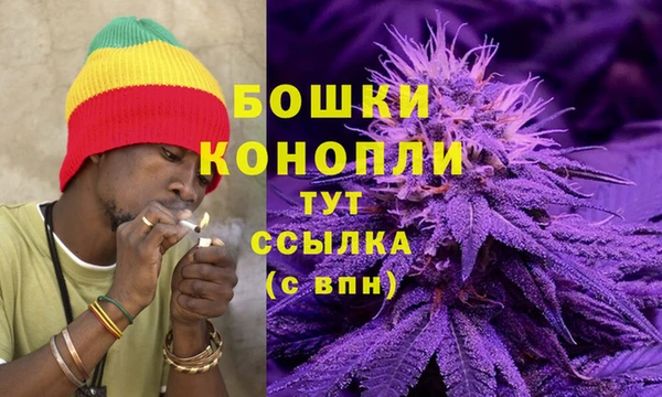 твердый Коряжма