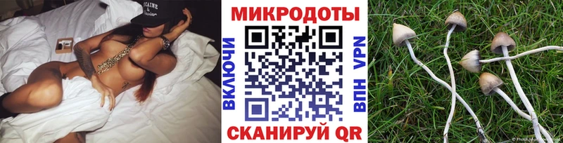 Купить  Борисоглебск  Псилоцибиновые грибы ЛСД 