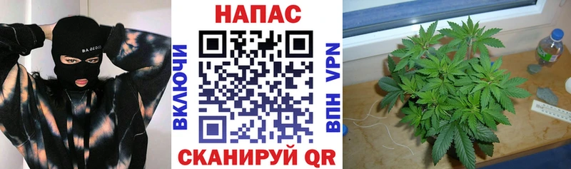 МАРИХУАНА Amnesia  Купить закладки  Борисоглебск 